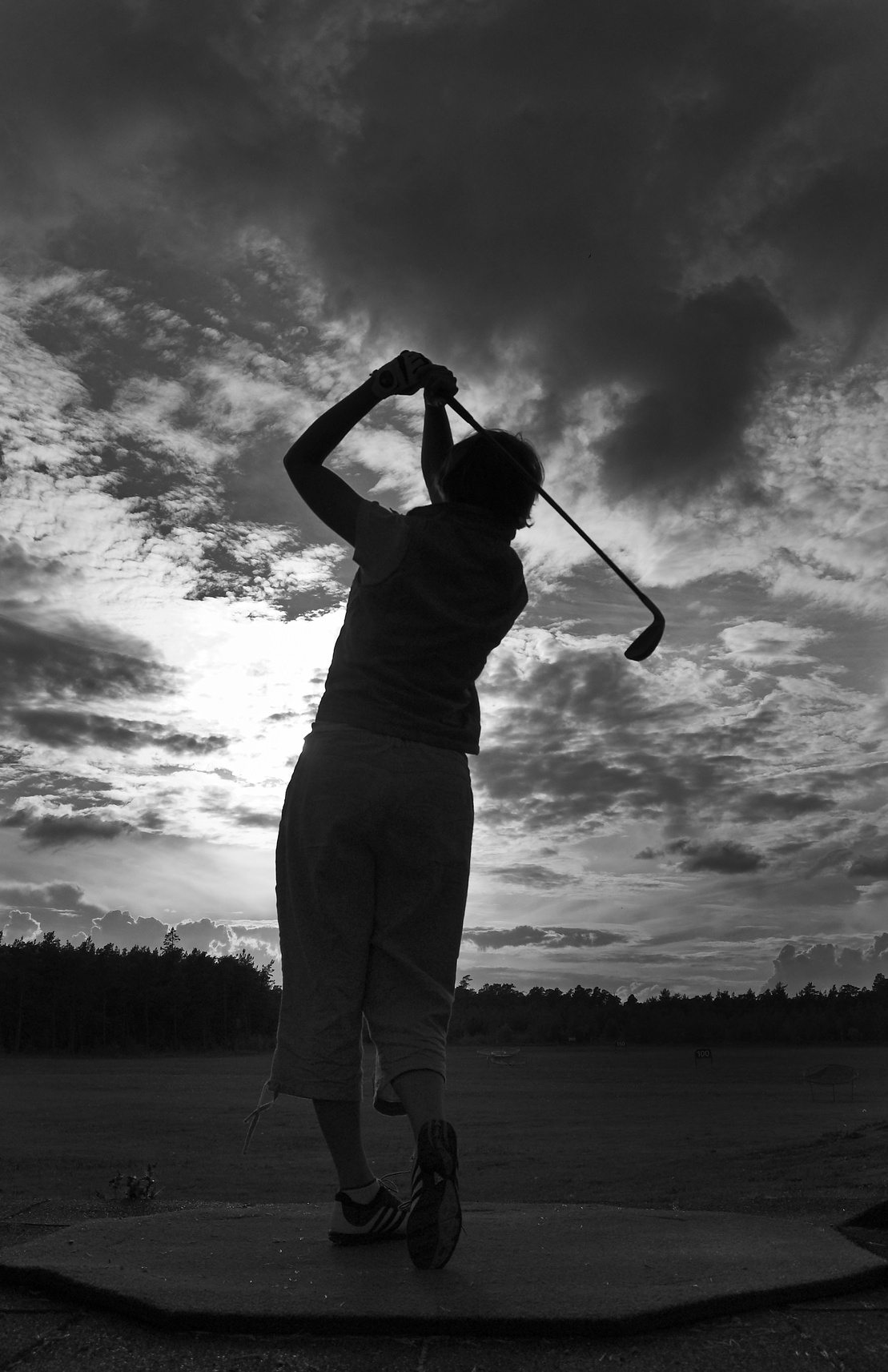 Golfer Silhouette 1682378