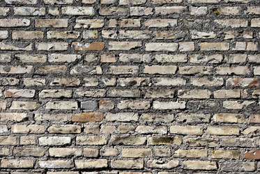 Brick Wall 16134201 by StockProject1