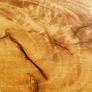 Cracked Wood 25392937
