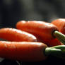 Carrot Bundle 6269297