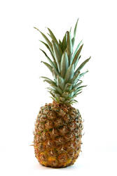 Lone Pineapple 6724794
