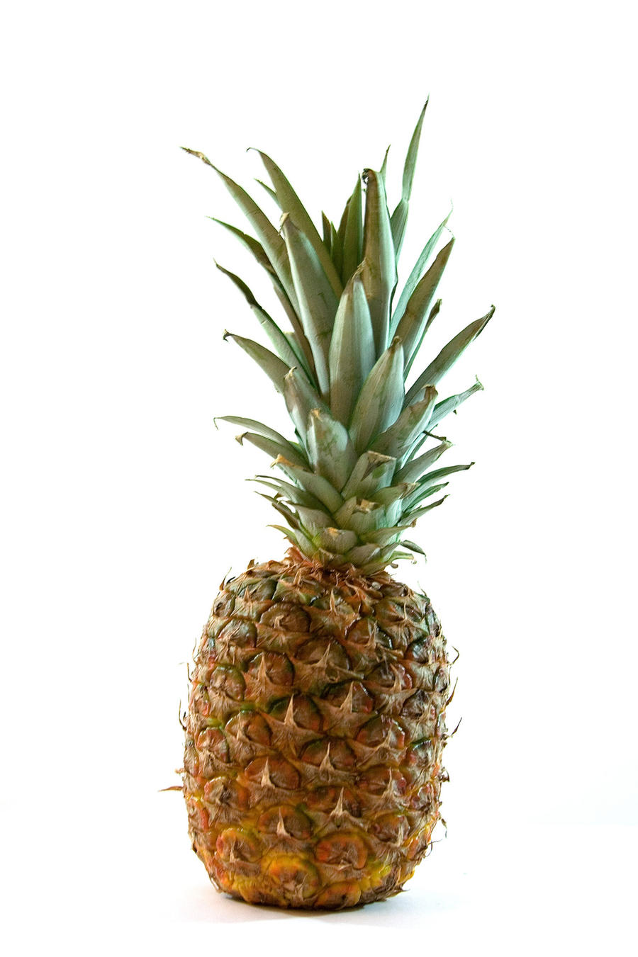 Lone Pineapple 6724794