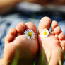 Flower Feet 13560901