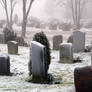 Snowy Cemetery 1992293