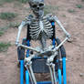 Wheelchair Skeleton 4255811