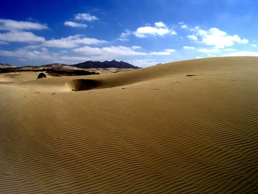 Sand Dunes 1976992