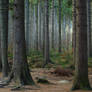 Frightening Forest 10714230