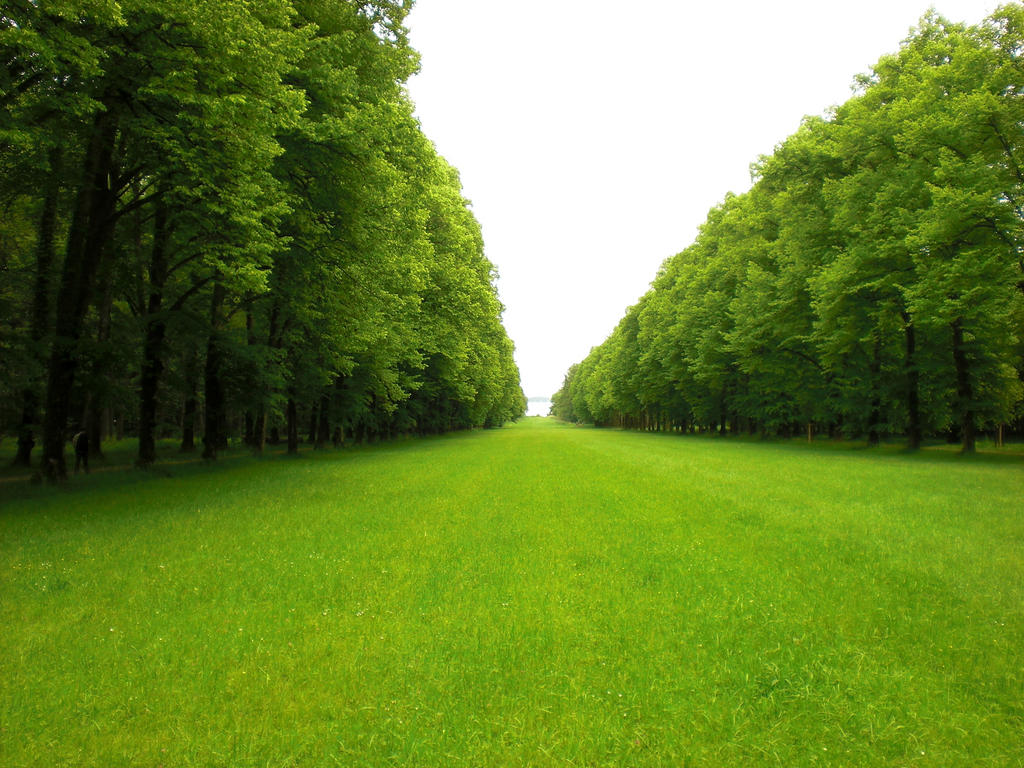 Green Pasture 15345928 by StockProject1
