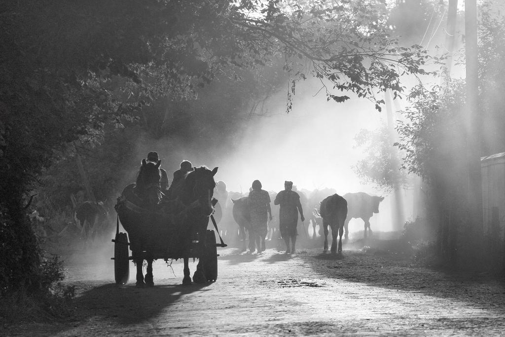 Going Home 15729551 by StockProject1