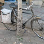 Old Bike 5811959