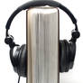 Audio Book 12900894