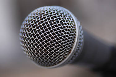 Microphone Detail 15047132