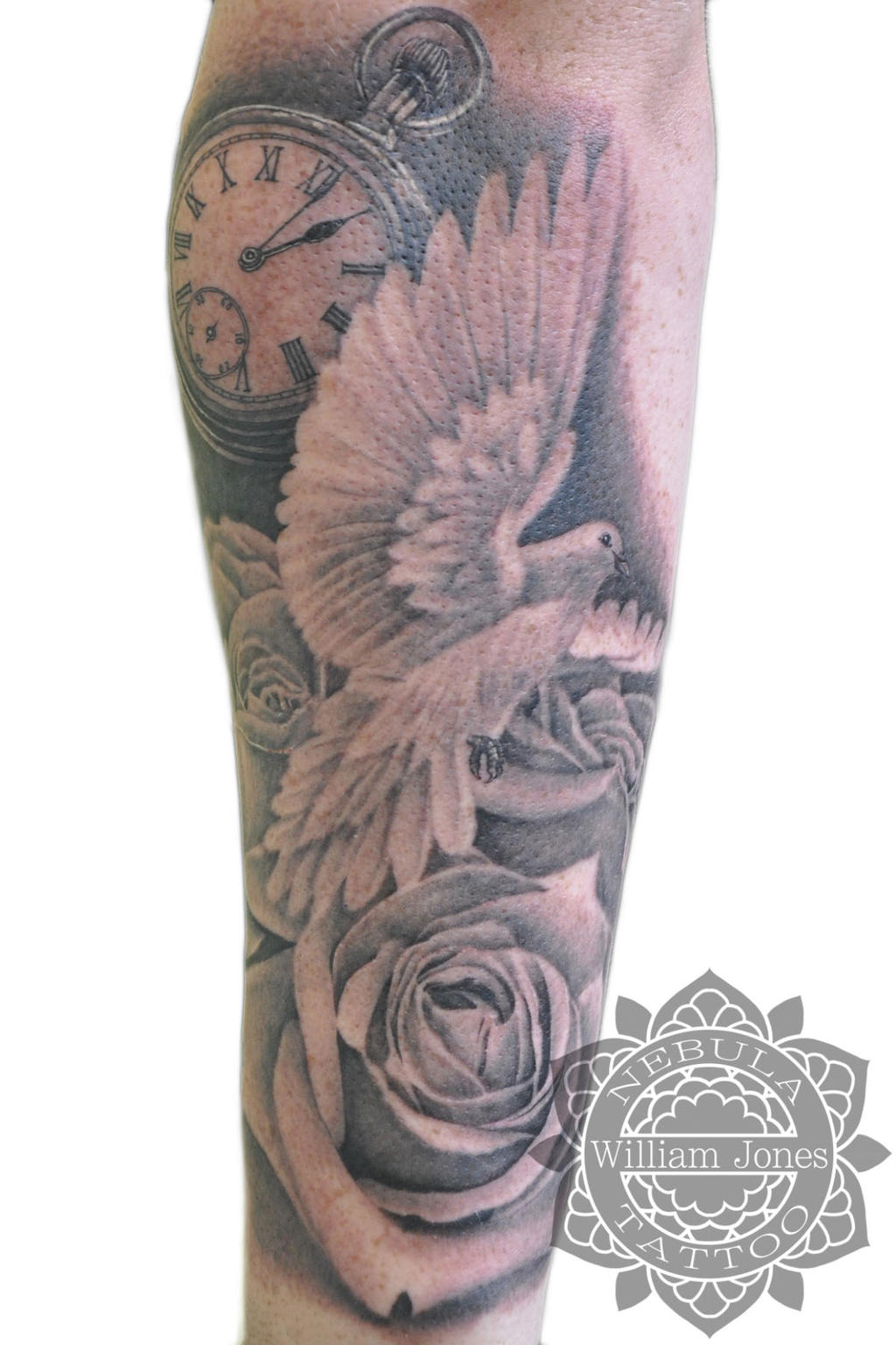 Dove, Pocket watch Rose Tattoo by nebulatattoo on DeviantArt