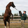 SMARTY JONES NORTHVIEW