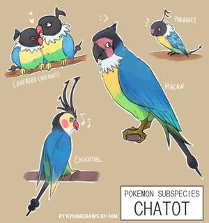 Pkmn Subspecies: Chatot