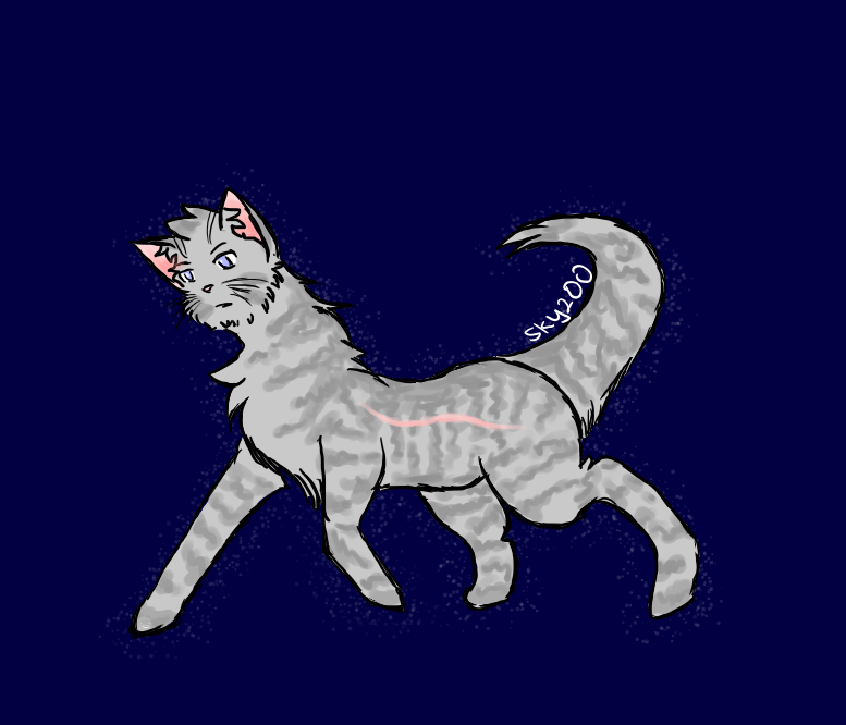 WarriorCatsFanClub DeviantArt