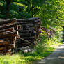 Vertical logs, horizontal logs