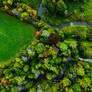 Mostly green