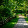 Walk in the park
