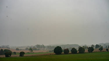 Greens, greys and browns