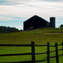 A farm