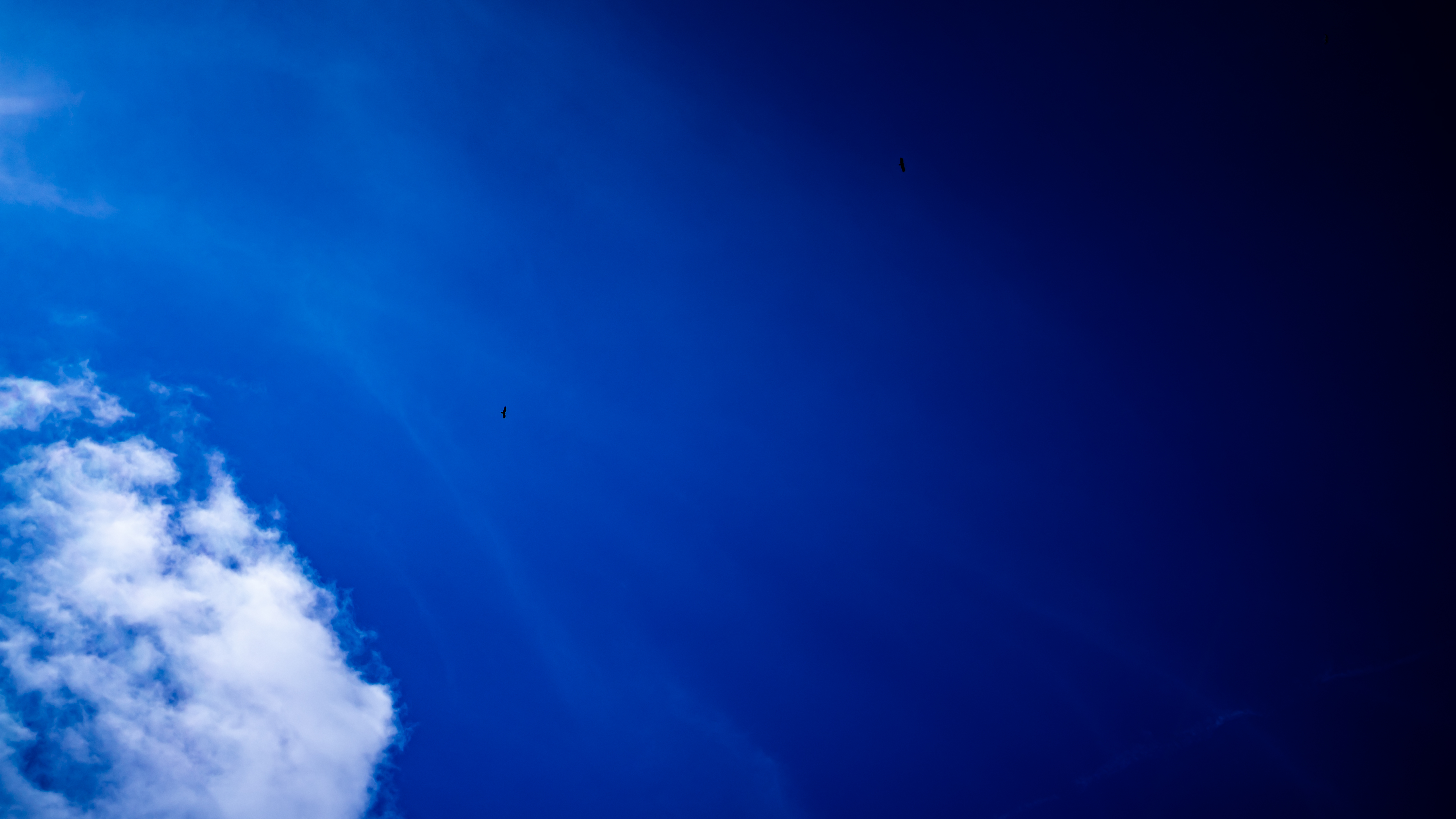 Drops of consciousness,