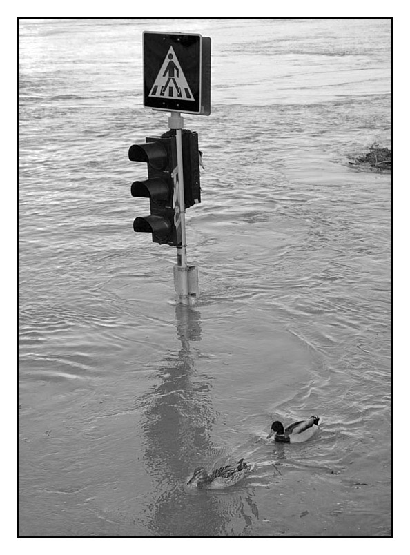 Pedestrian crossing