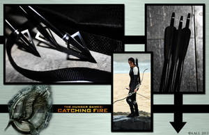 Hunger Games Catching Fire Arena Arrows