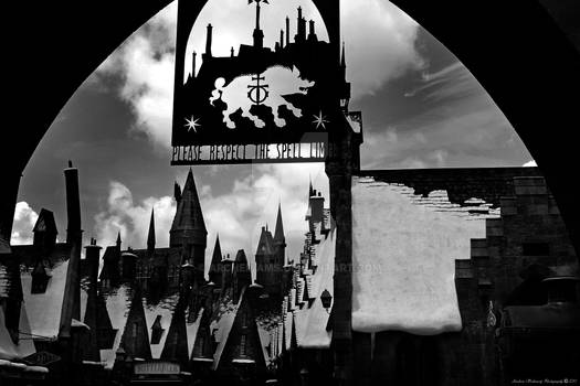 The Wizarding World