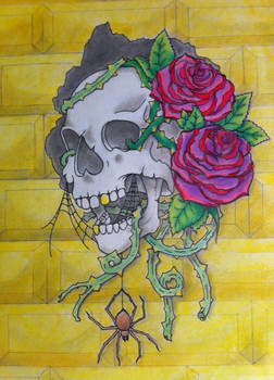 Color Skull