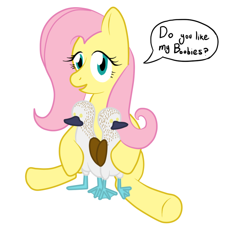 Fluttershy's Boobies