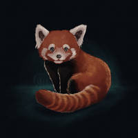 Growtober Day 8 Red Panda on Infinite Painter