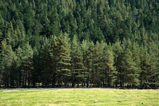 Pyrenees IV