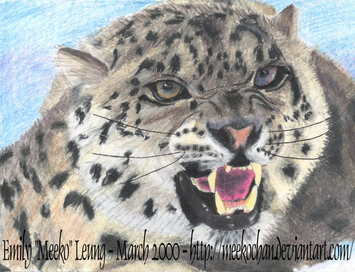 Snow Leopard (2000)