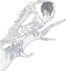 Harpy