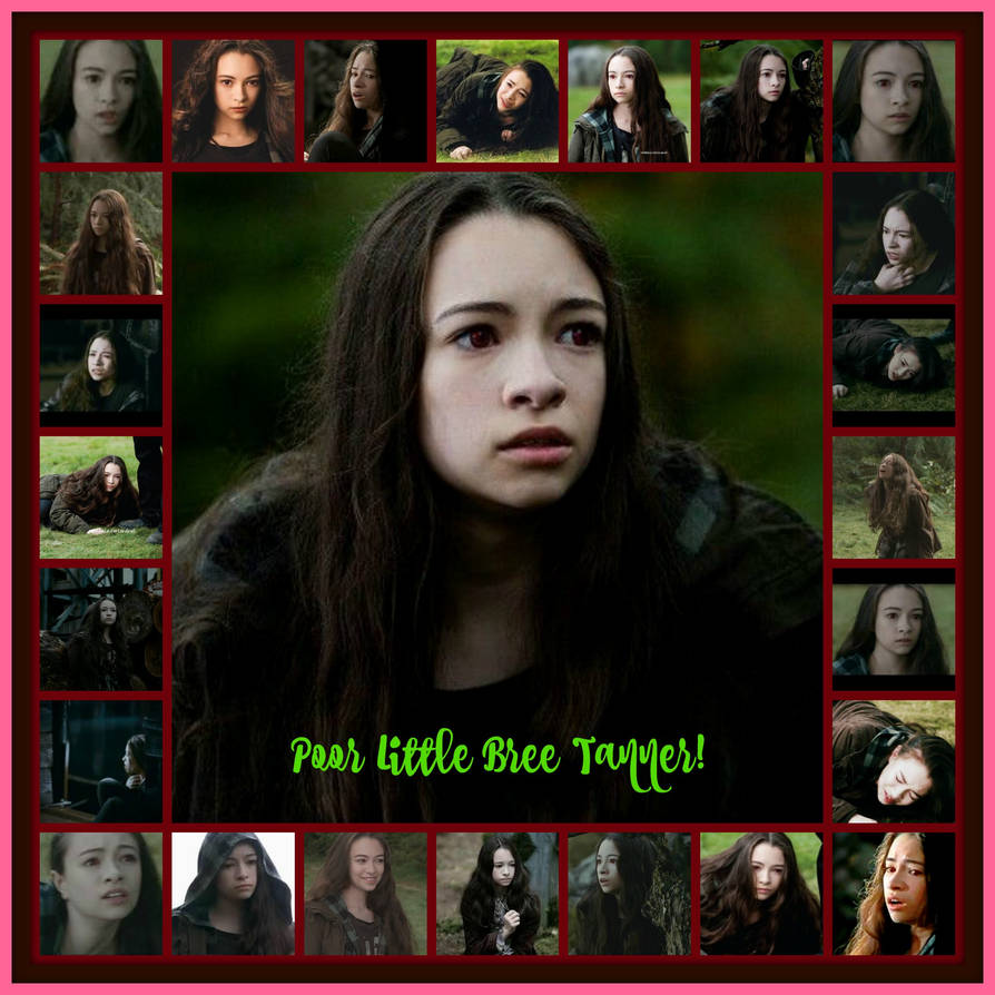 Litlebree POOR LITTLE BREE TANNER! by pamlaisly232 on DeviantArt