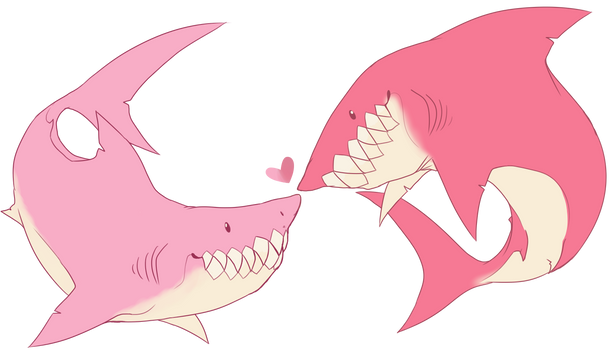 sharks