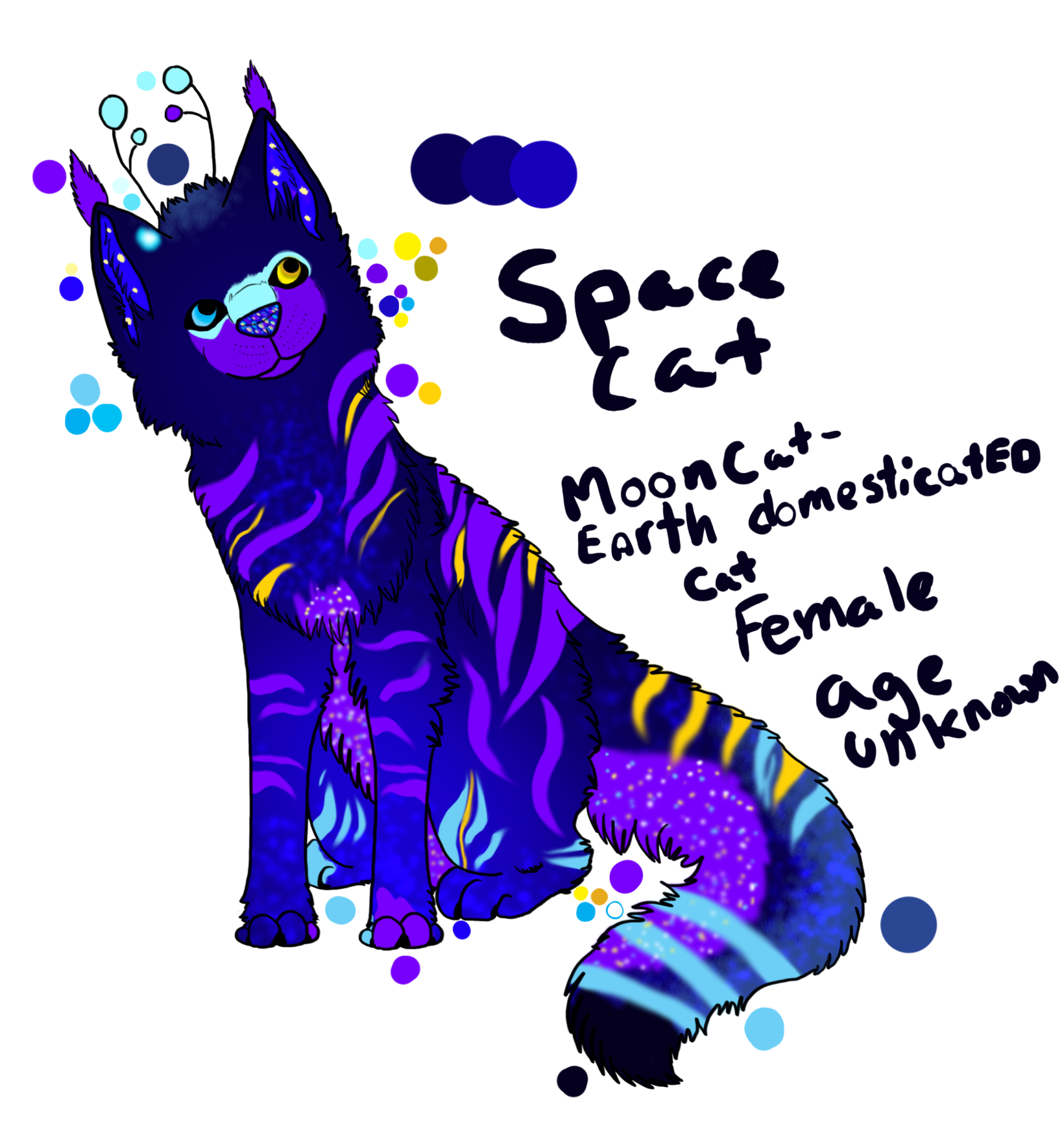 Space Cat Ref