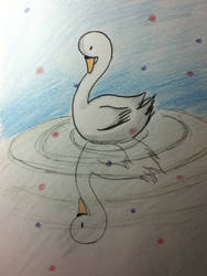 Swan