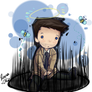 Mini Cas