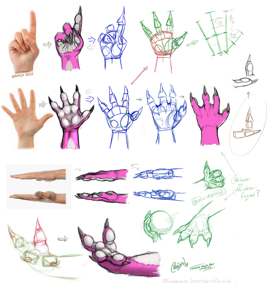 practice sketches - hand paw studies - anthro by ForcesWerwolf on ...