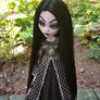 Veronica, 17 Inch Monster High Draculaura #1