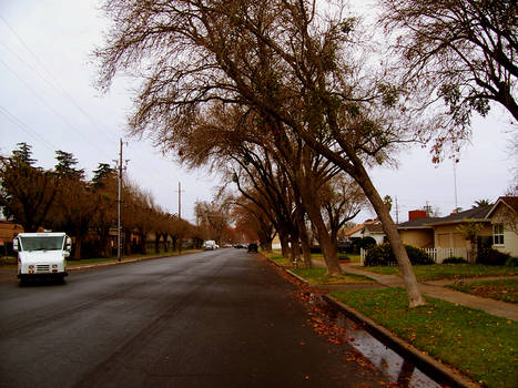 Neighborhood Stroll