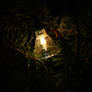 Christmas Light