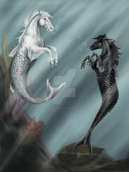 Mermaid horses