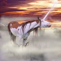 The Fog Unicorn