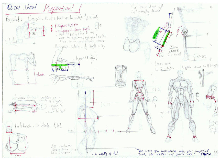 Proportion Cheat Sheet by mitko2025 on DeviantArt