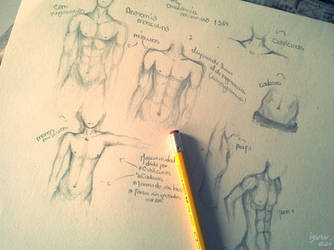 Practice of anatomy everywhere - Anatomy reference