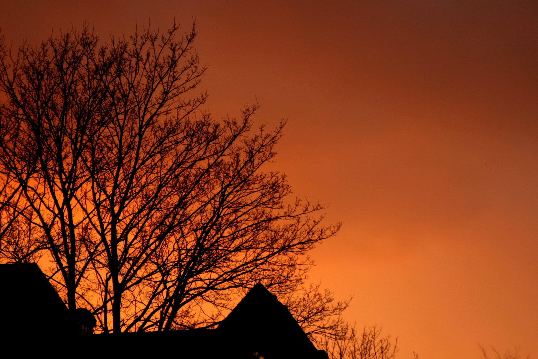 A look out of my window