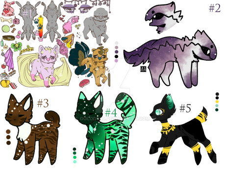 (3/6) adopts in the pack AUCTION | OPEN | POINTS